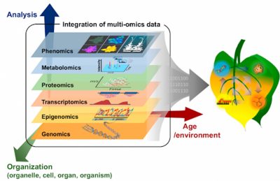 sequence of methods for genomic sequencing.