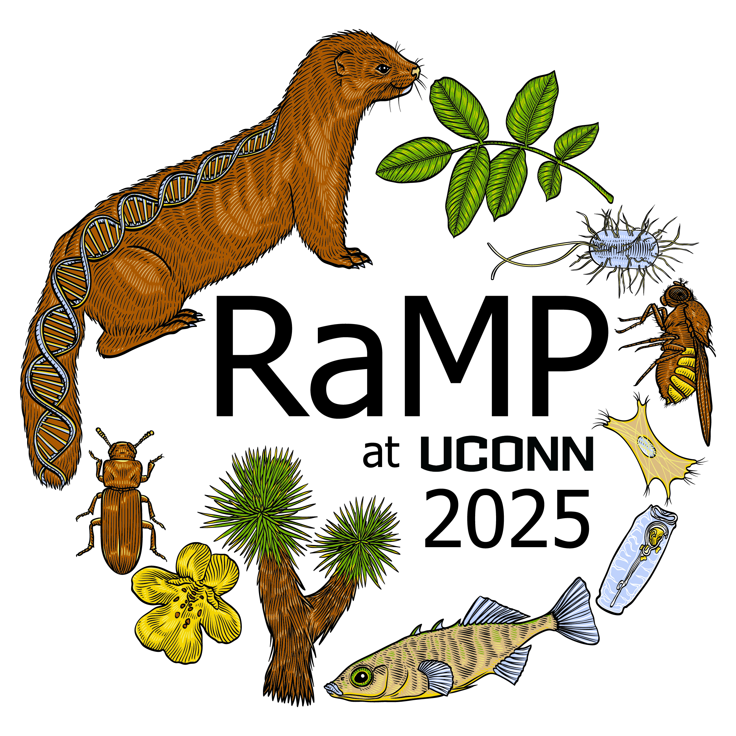 RaMP logo 2025