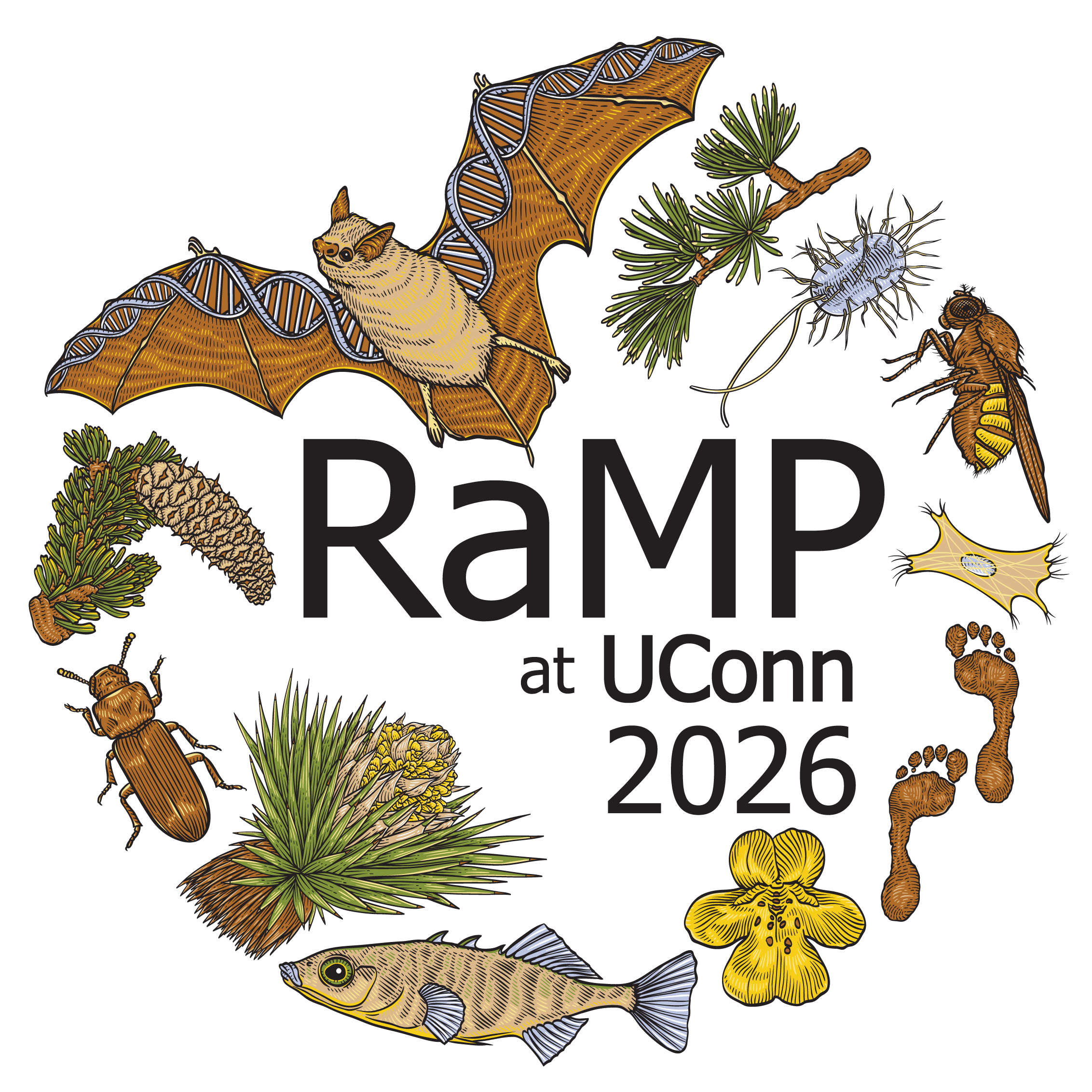 RaMP logo 2025